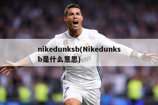 nikedunksb(Nikedunksb是什么意思)