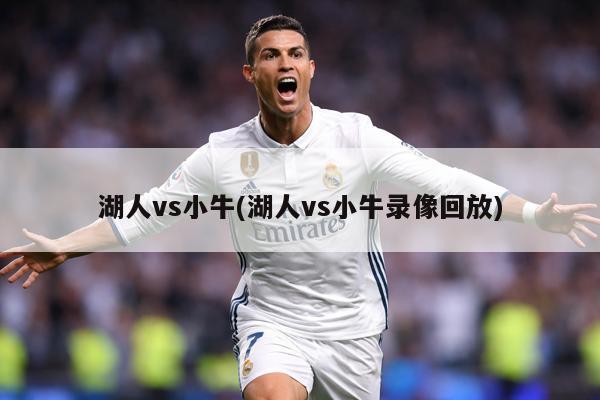 湖人vs小牛(湖人vs小牛录像回放)