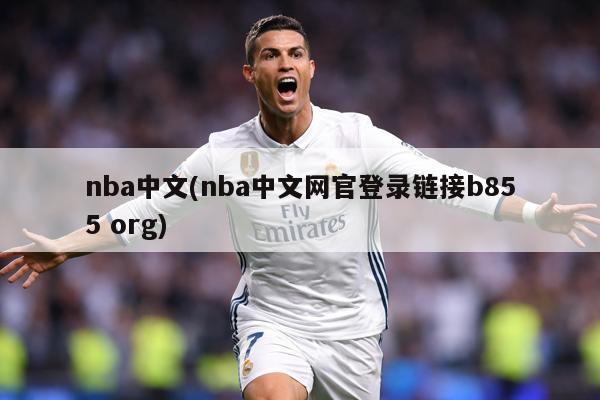 nba中文(nba中文网官登录链接b855 org)