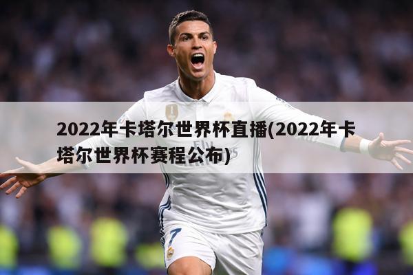 2022年卡塔尔世界杯直播(2022年卡塔尔世界杯赛程公布)