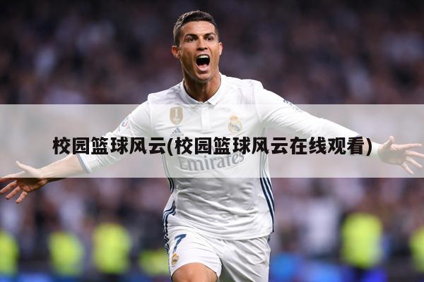 校园篮球风云(校园篮球风云在线观看)