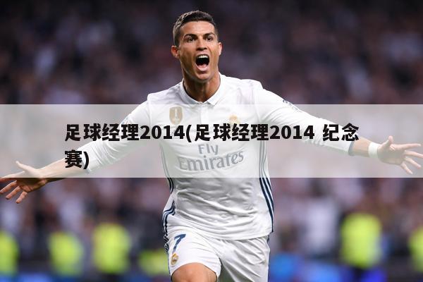 足球经理2014(足球经理2014 纪念赛)