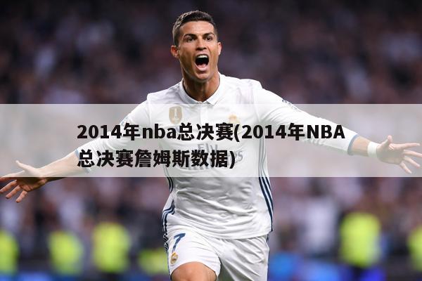 2014年nba总决赛(2014年NBA总决赛詹姆斯数据)